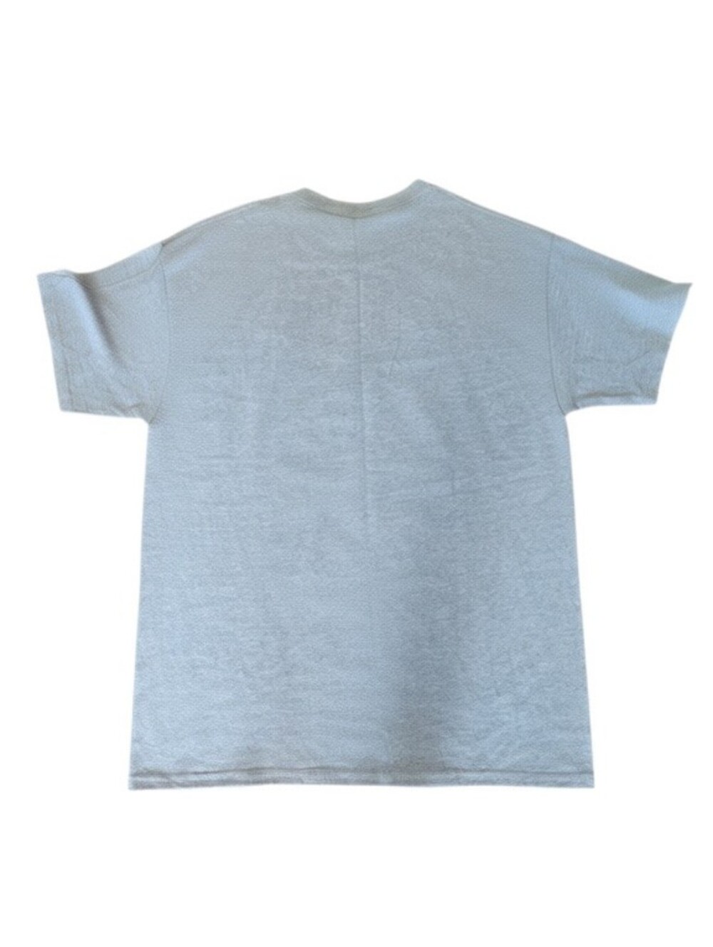 Rosa Parks Gray Short Sleeve Graphic T-shirt L - Picture 3 of 4